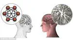Biological Neurons VS AI Neurons (The Perceptron)