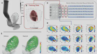 Inferring quantitative hemodynamics in a 3D intracranial aneurysm. SOURCE: https://doi.org/10.1126/science.aaw4741