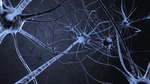 Incorporating Synaptic Current Dynamics with Hodgkin-Huxley Model to Simulate a Network of Neurons