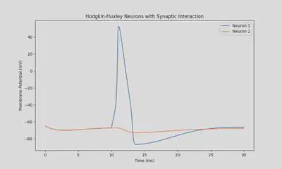 Neurons 1 and 2 activations when the synapse in between is inhibitory.