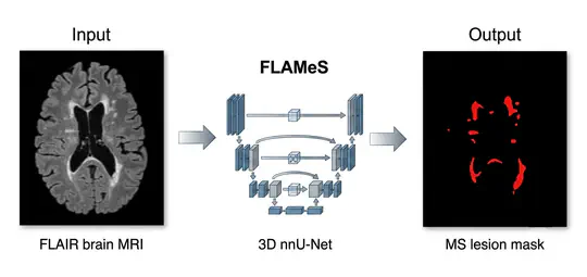 FLAMeS Inference