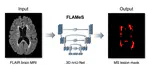 FLAMeS Inference