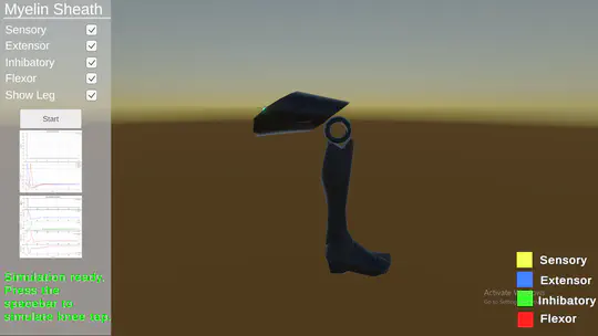 A 3D Simulator of the Patellar Reflex and Demyelination Effects