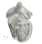 Cardiac Activation Mapping using Physics-Informed Neural Networks